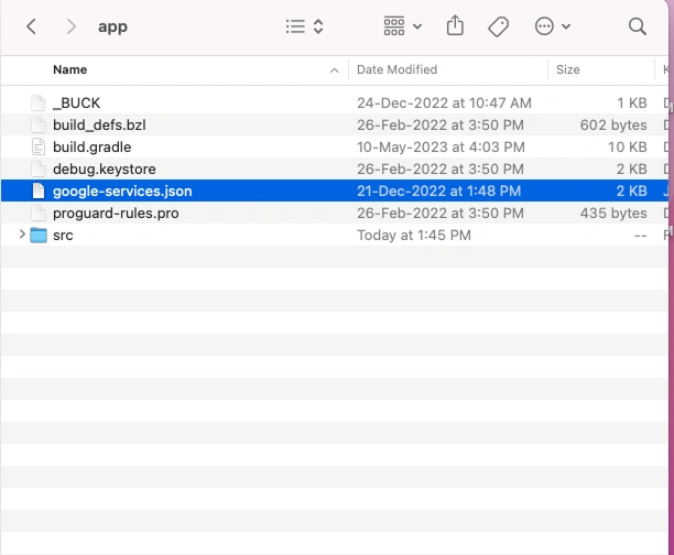 google-services.json file